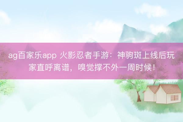 ag百家乐app 火影忍者手游：神驹斑上线后玩家直呼离谱，嗅觉撑不外一周时候！