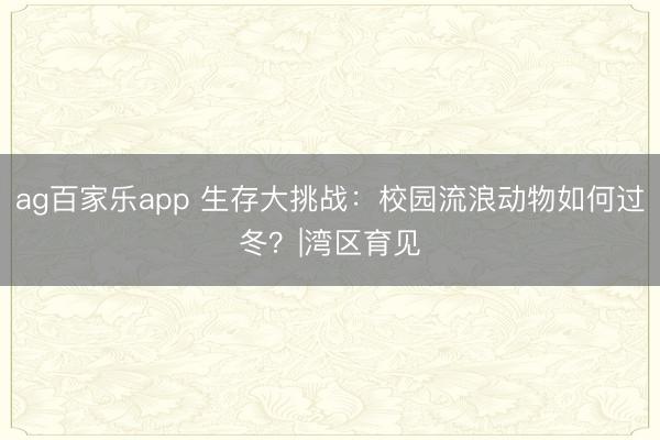 ag百家乐app 生存大挑战:校园流浪动物如何过冬?|湾区育见