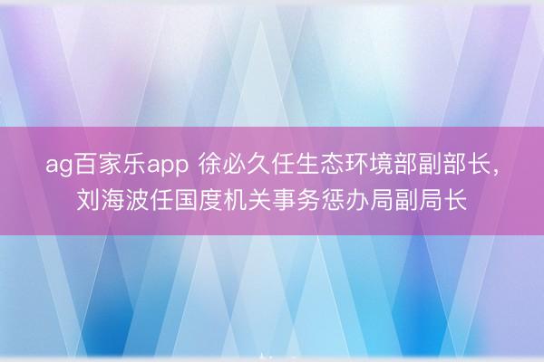 ag百家乐app 徐必久任生态环境部副部长，刘海波任国度机关事务惩办局副局长