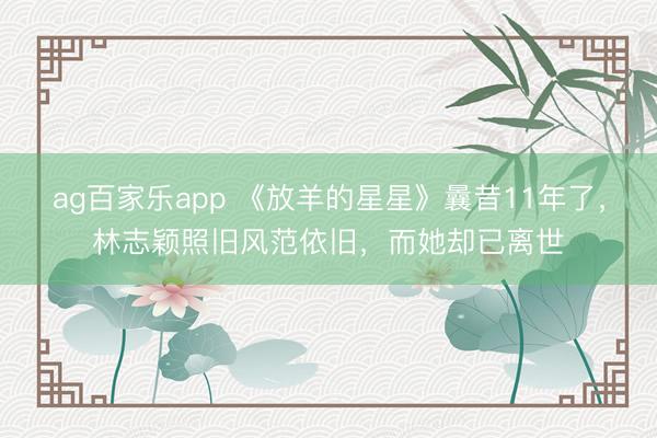 ag百家乐app 《放羊的星星》曩昔11年了，林志颖照旧风范依旧，而她却已离世