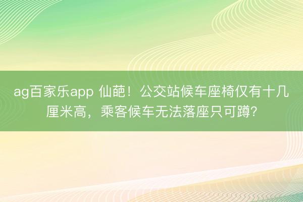 ag百家乐app 仙葩！公交站候车座椅仅有十几厘米高，乘客候车无法落座只可蹲？