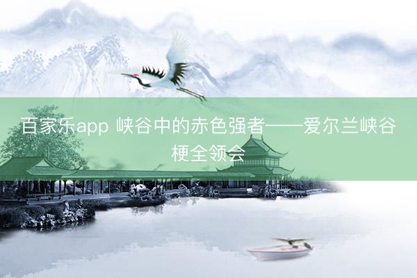 百家乐app 峡谷中的赤色强者——爱尔兰峡谷梗全领会