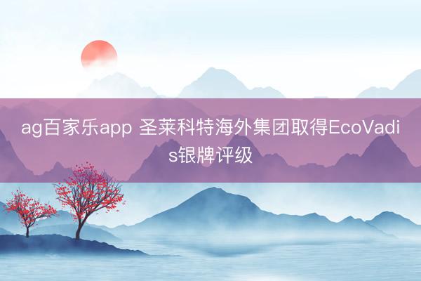 ag百家乐app 圣莱科特海外集团取得EcoVadis银牌评级