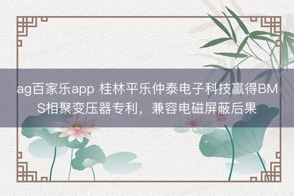 ag百家乐app 桂林平乐仲泰电子科技赢得BMS相聚变压器专利，兼容电磁屏蔽后果