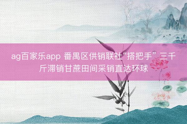 ag百家乐app 番禺区供销联社“搭把手” 三千斤滞销甘蔗田间采销直达环球