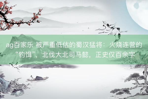 ag百家乐 被严重低估的蜀汉猛将：火烧连营的 “钓饵”，北伐大北司马懿，正史仅百余字