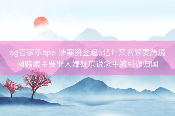 ag百家乐app 涉案资金超5亿！又名紧要跨境网赌案主要罪人嫌疑东说念主被引渡归国
