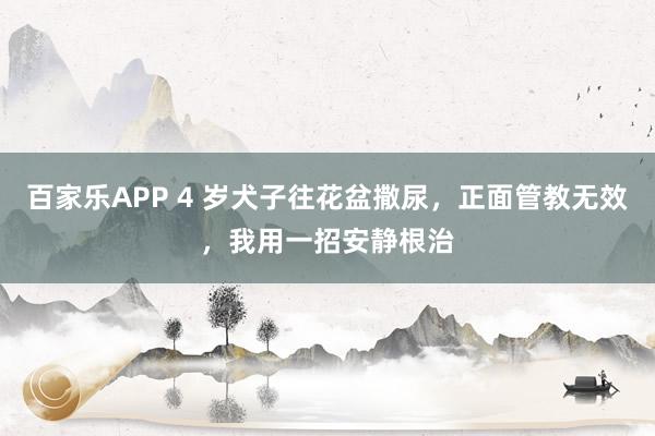 百家乐APP 4 岁犬子往花盆撒尿，正面管教无效，我用一招安静根治