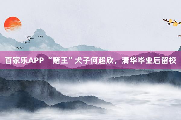 百家乐APP “赌王”犬子何超欣，清华毕业后留校