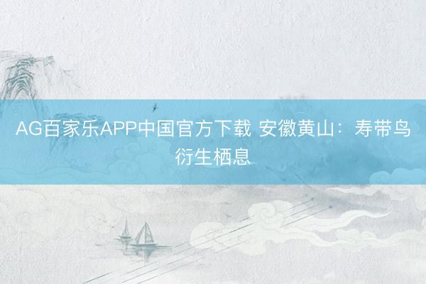 AG百家乐APP中国官方下载 安徽黄山：寿带鸟衍生栖息