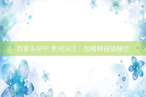 百家乐APP 贵州从江：加榜梯田插秧忙