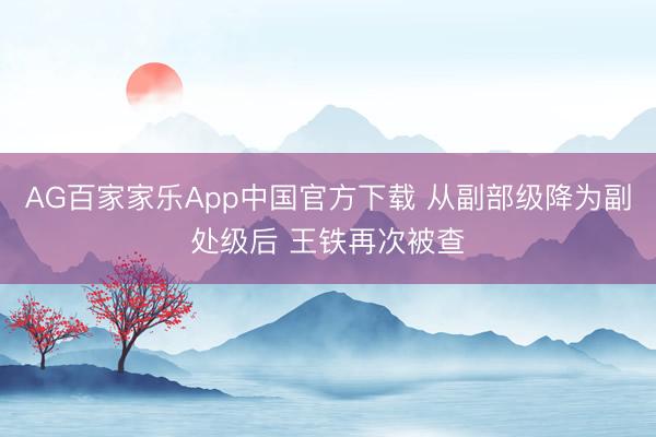 AG百家家乐App中国官方下载 从副部级降为副处级后 王铁再次被查