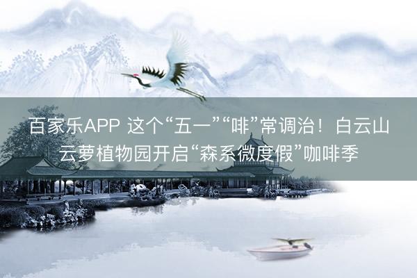 百家乐APP 这个“五一”“啡”常调治！白云山云萝植物园开启“森系微度假”咖啡季